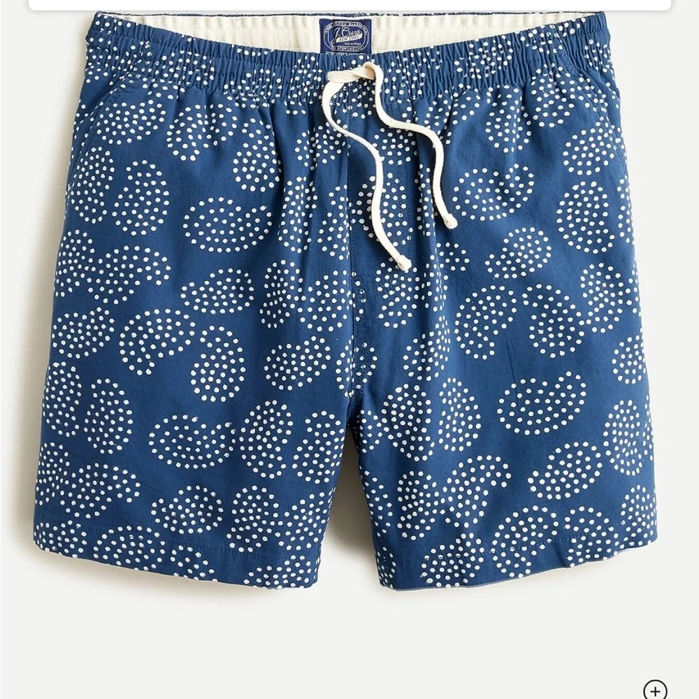 J. Crew men's size Small blue and white paisley lined dock shorts
